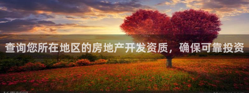 万向娱乐老板