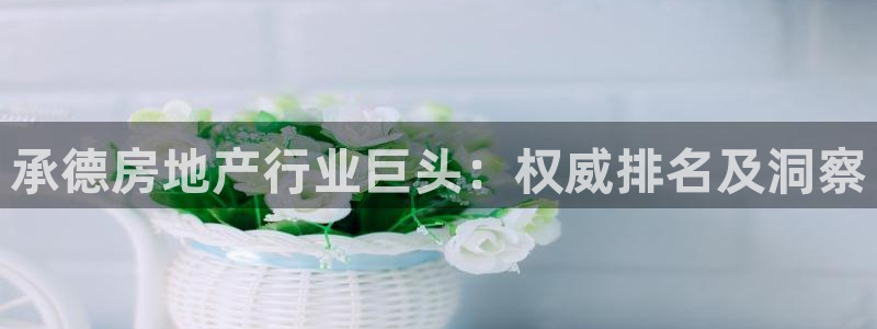 万向娱乐总代