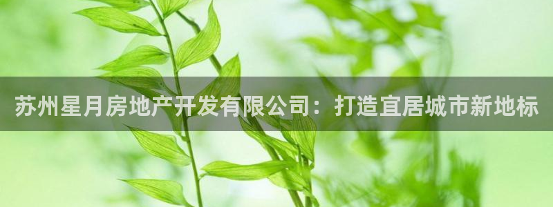 万向娱乐平台代理怎么做