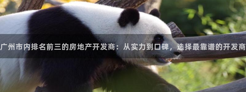 万向娱乐公司官网首页